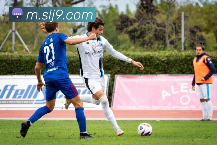 J9九游会服务体系